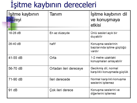 itme Kayb Dereceleri